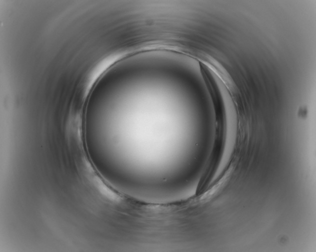 X0000092250812200709141147