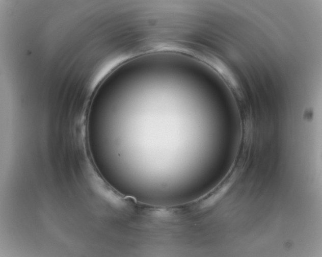 X0000092250814200709141147
