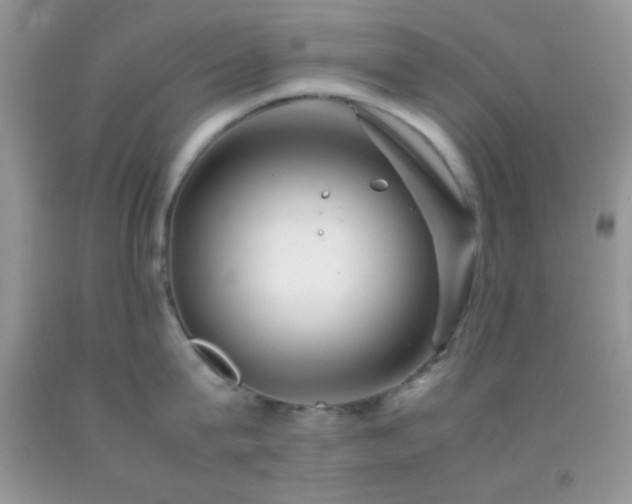 X0000092250815200709141147