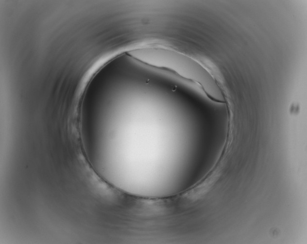 X0000092250816200709141147