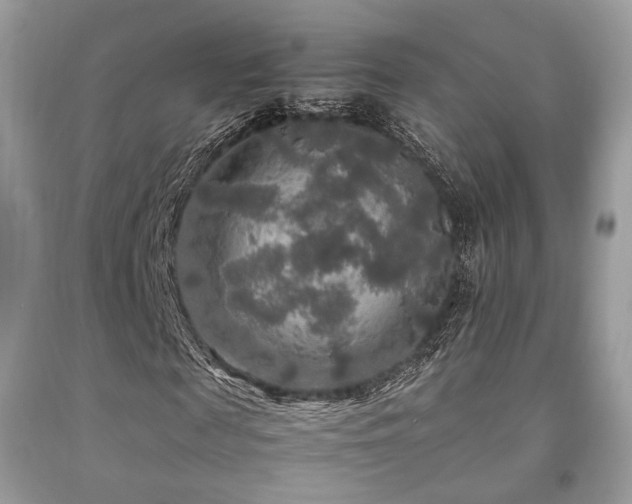 X0000092250817200709141146