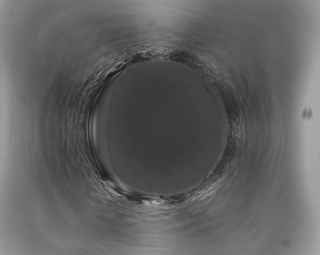 X0000092250818200709141146