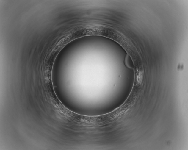 X0000092250819200709141146