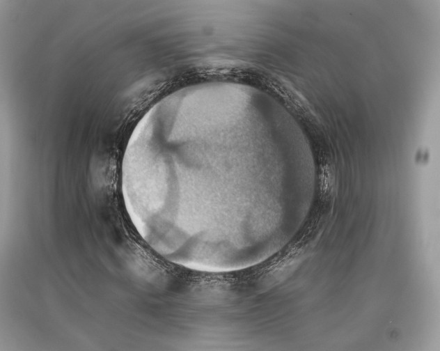 X0000092250820200709141146