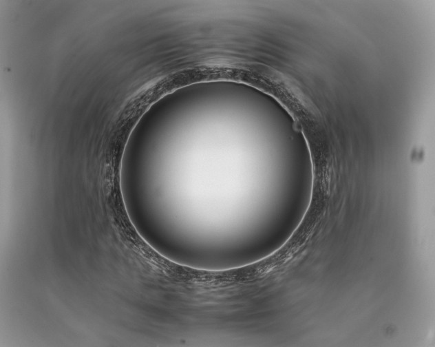 X0000092250821200709141146