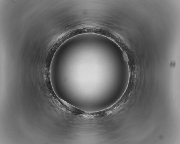 X0000092250822200709141146