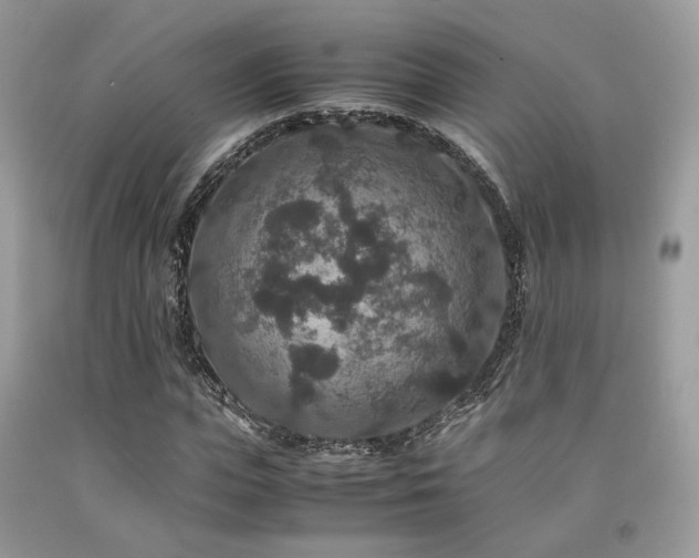 X0000092250823200709141146