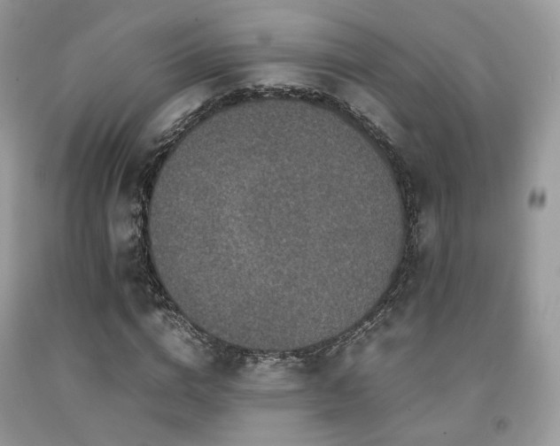 X0000092250824200709141146