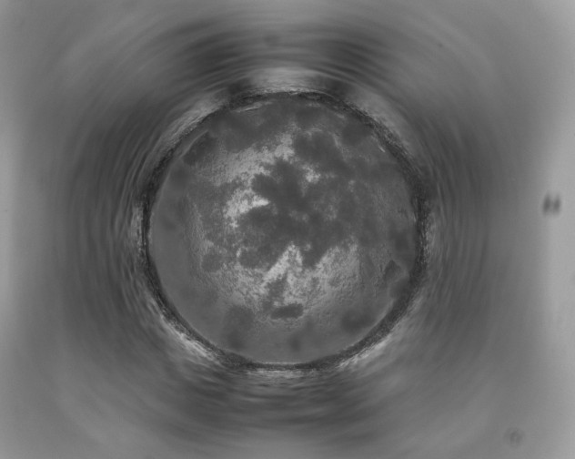 X0000092250825200709141146