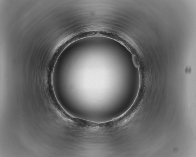 X0000092250826200709141146