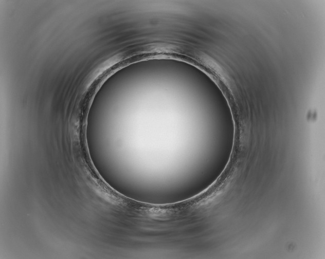 X0000092250827200709141146