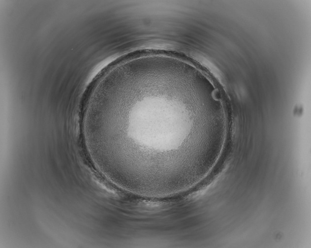 X0000092250829200709141146