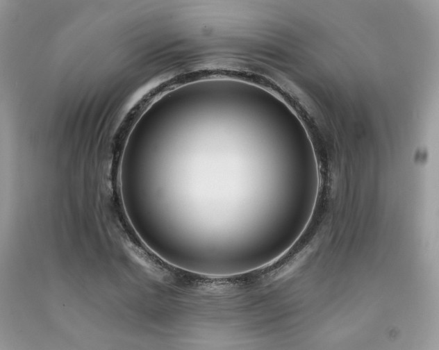 X0000092250830200709141146