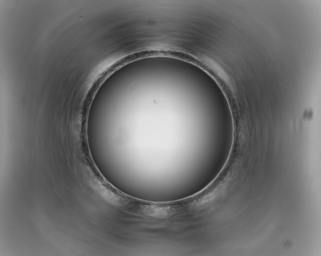 X0000092250831200709141146