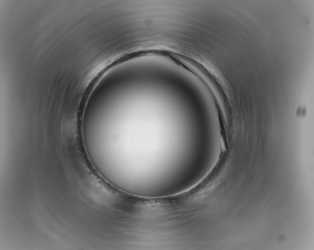 X0000092250834200709141146