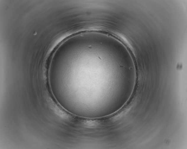 X0000092250835200709141146