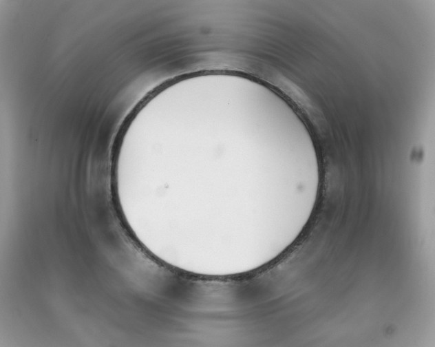 X0000092250836200709141146