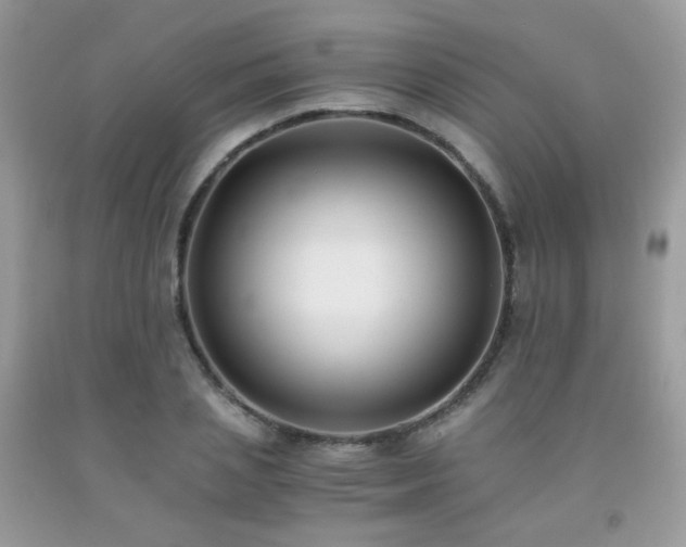 X0000092250837200709141146