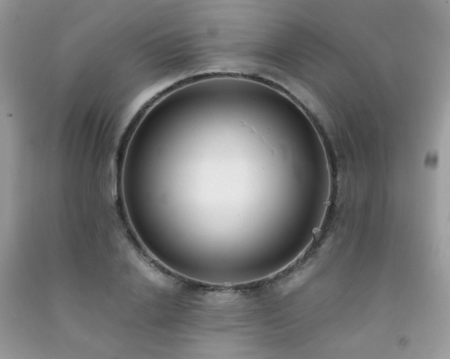 X0000092250838200709141146