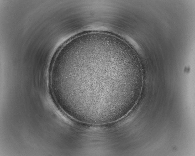 X0000092250840200709141146