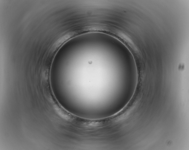 X0000092250841200709141146