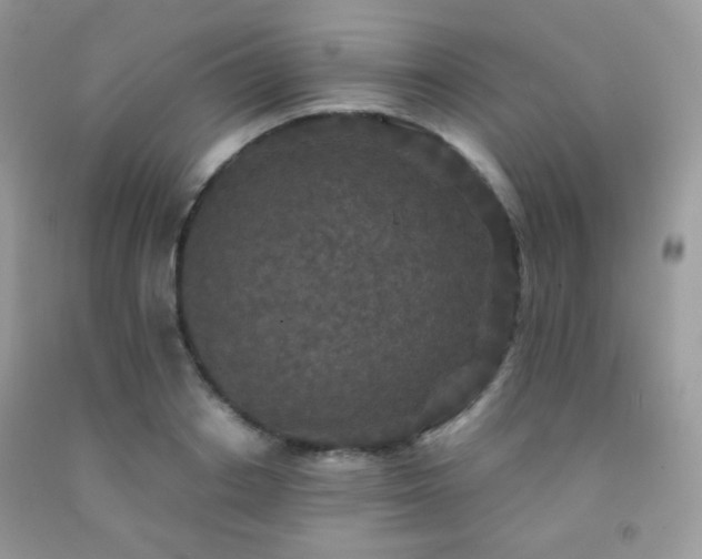 X0000092250842200709141146