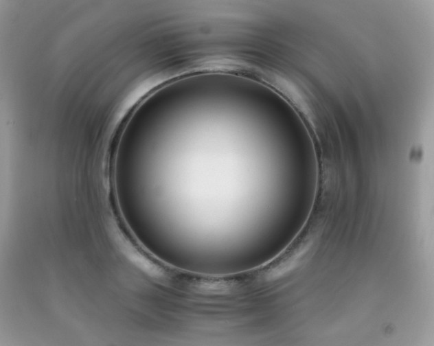 X0000092250843200709141146