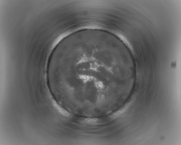 X0000092250845200709141146