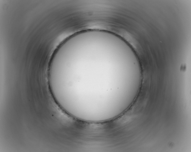 X0000092250848200709141146