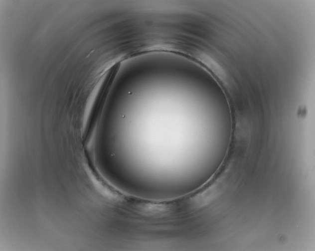 X0000092250849200709141146