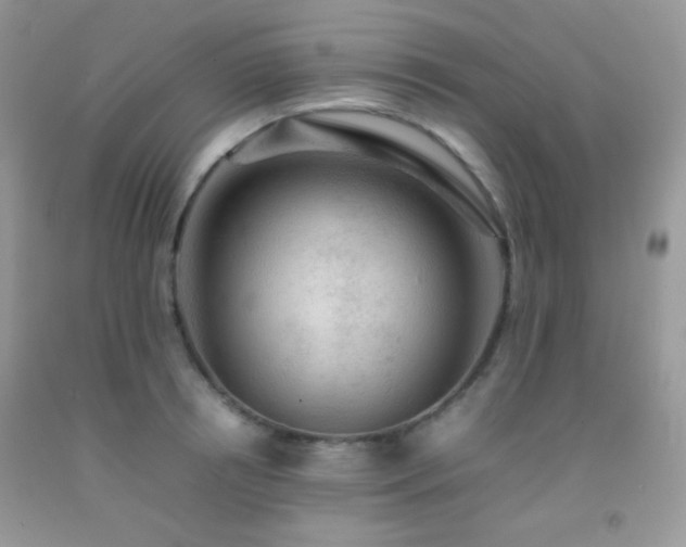 X0000092250850200709141146