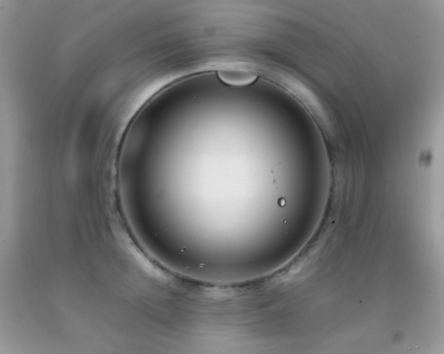 X0000092250852200709141146