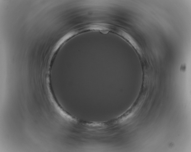 X0000092250853200709141146