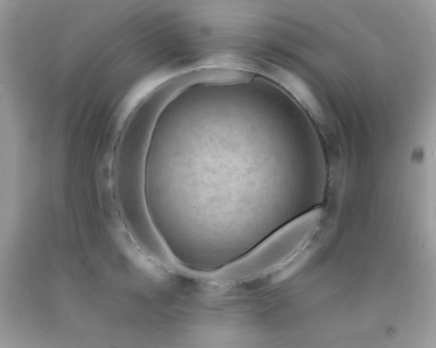 X0000092250854200709141146