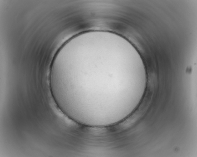 X0000092250856200709141146