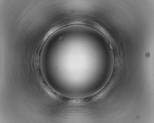 X0000092250858200709141147