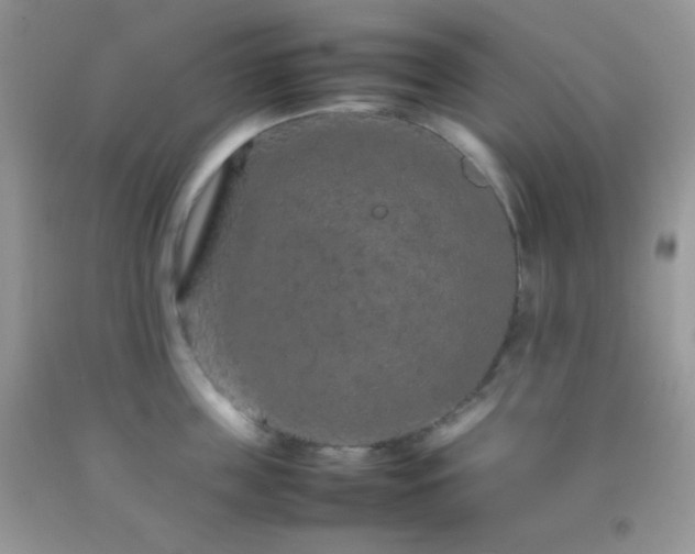 X0000092250859200709141147