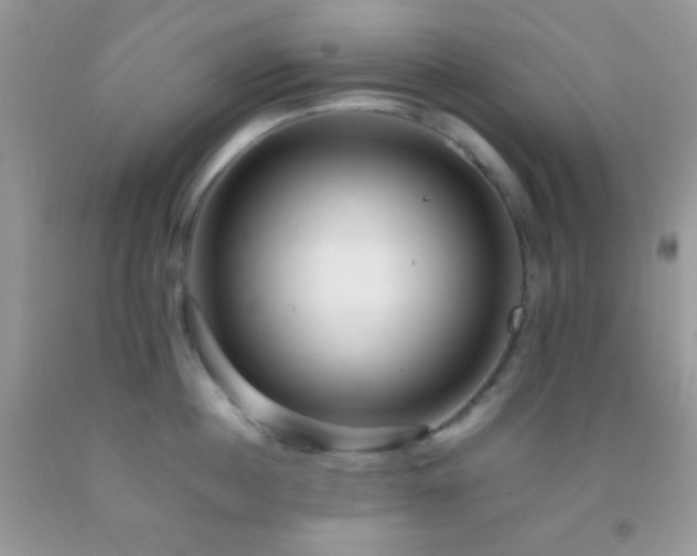 X0000092250860200709141147