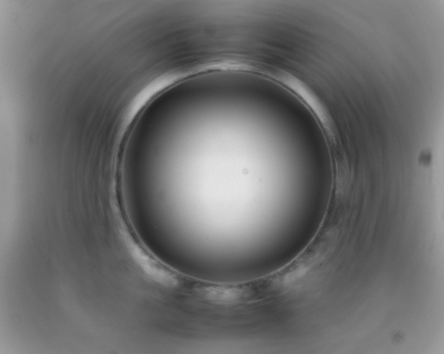 X0000092250861200709141147