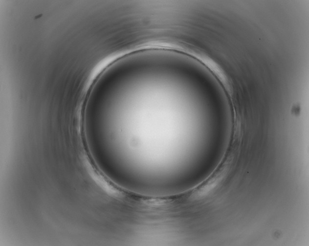 X0000092250862200709141147