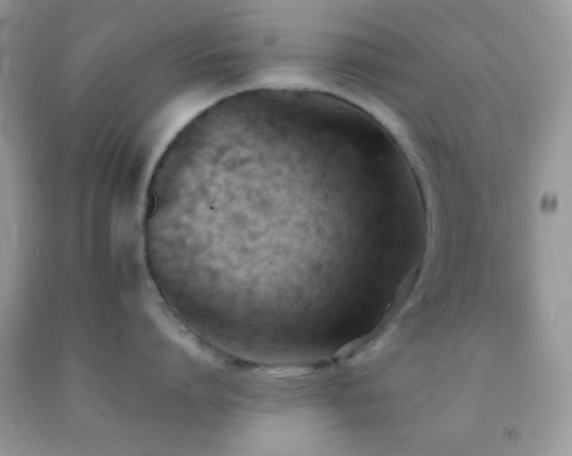 X0000092250864200709141147