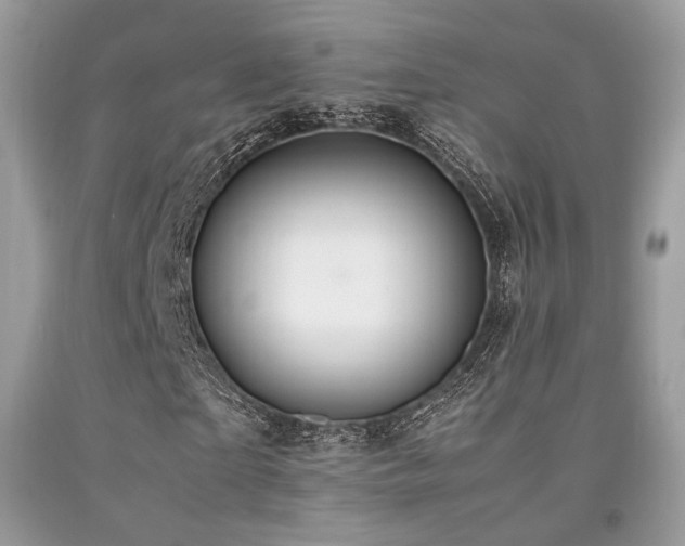 X0000092250865200709141146