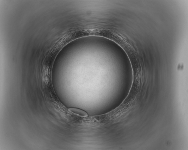 X0000092250866200709141146