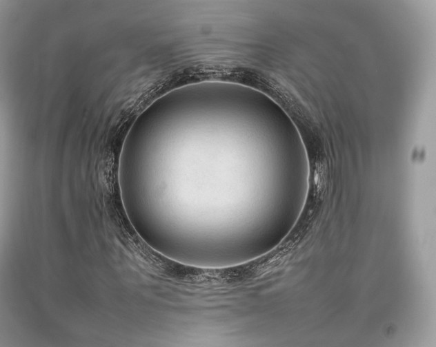 X0000092250867200709141146
