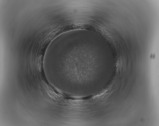 X0000092250868200709141146
