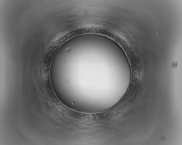 X0000092250869200709141146