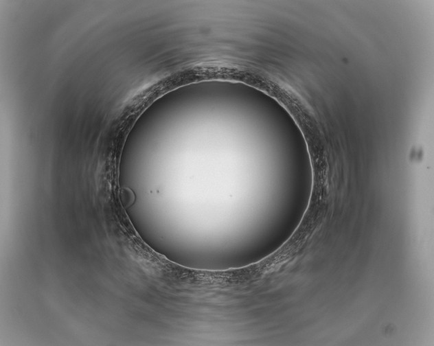 X0000092250870200709141146