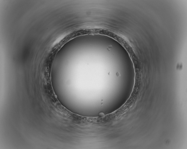 X0000092250871200709141146