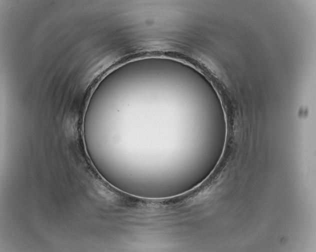 X0000092250873200709141146