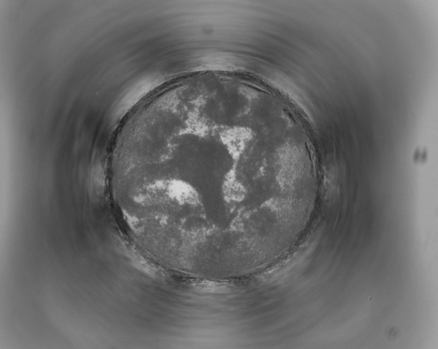 X0000092250874200709141146
